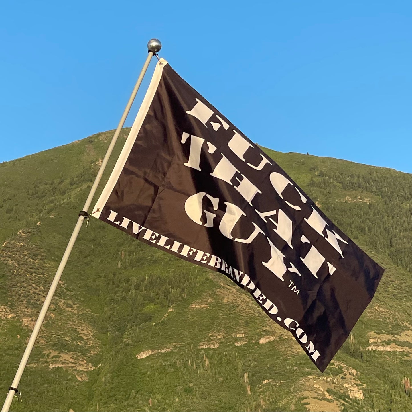FUCK THAT GUY FLAG 3 X 5